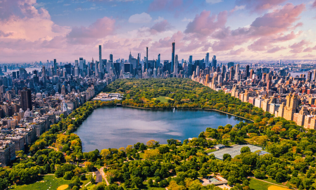 New York LLC